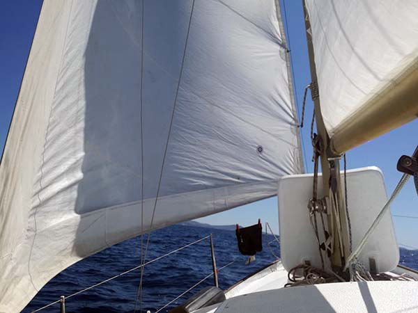 Brahmacharys on a "cruise"